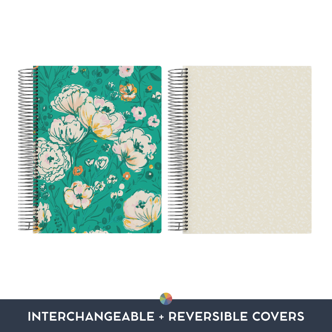 Interchangeable + Reversible Cover: Radiant (2024)