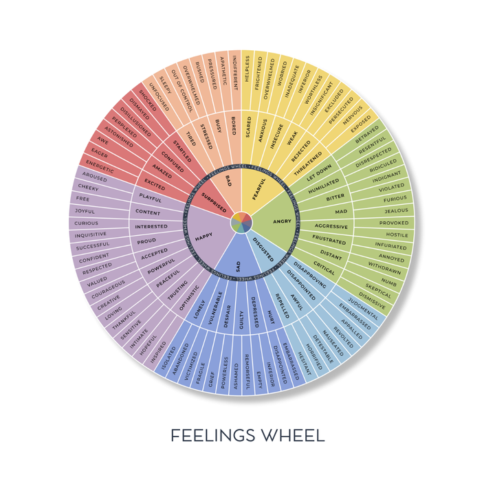 MäksēLife Needs + Emotions Wheel Stickers 5”
